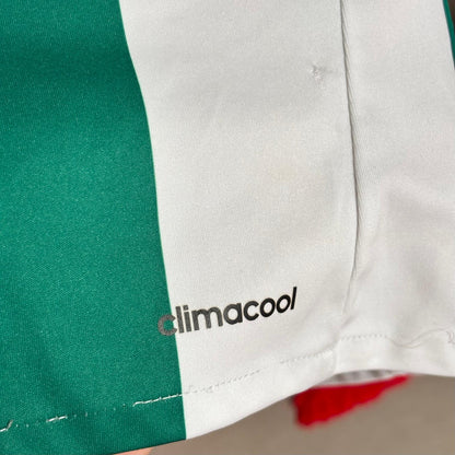Camiseta SK Rapid Wien 2016-2018 Visitante