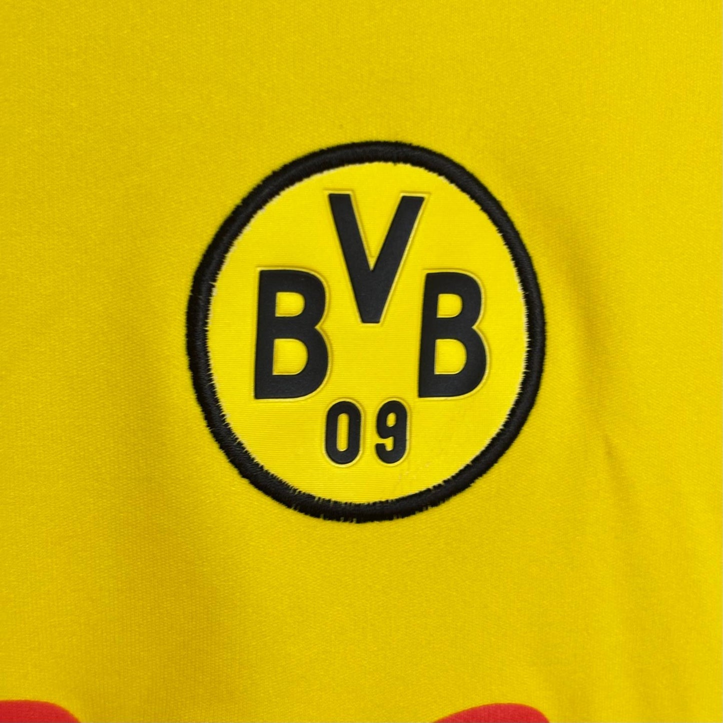 Borussia Dortmund 2003 - 2004 local
