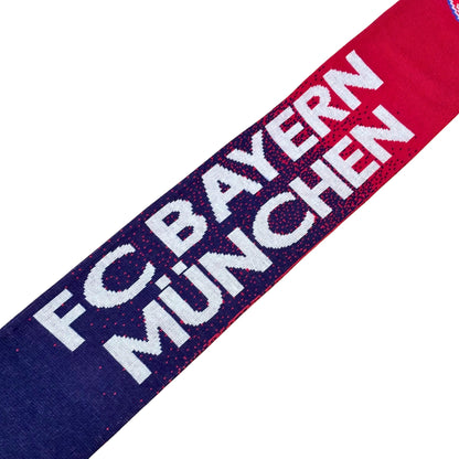 Bayern Munich - UEFA Champions League