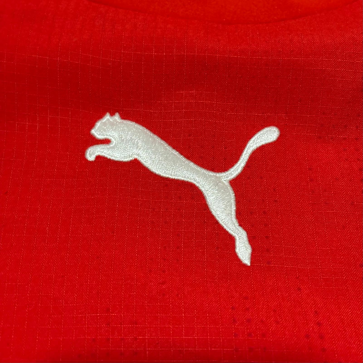Camiseta Suiza 2006 Local