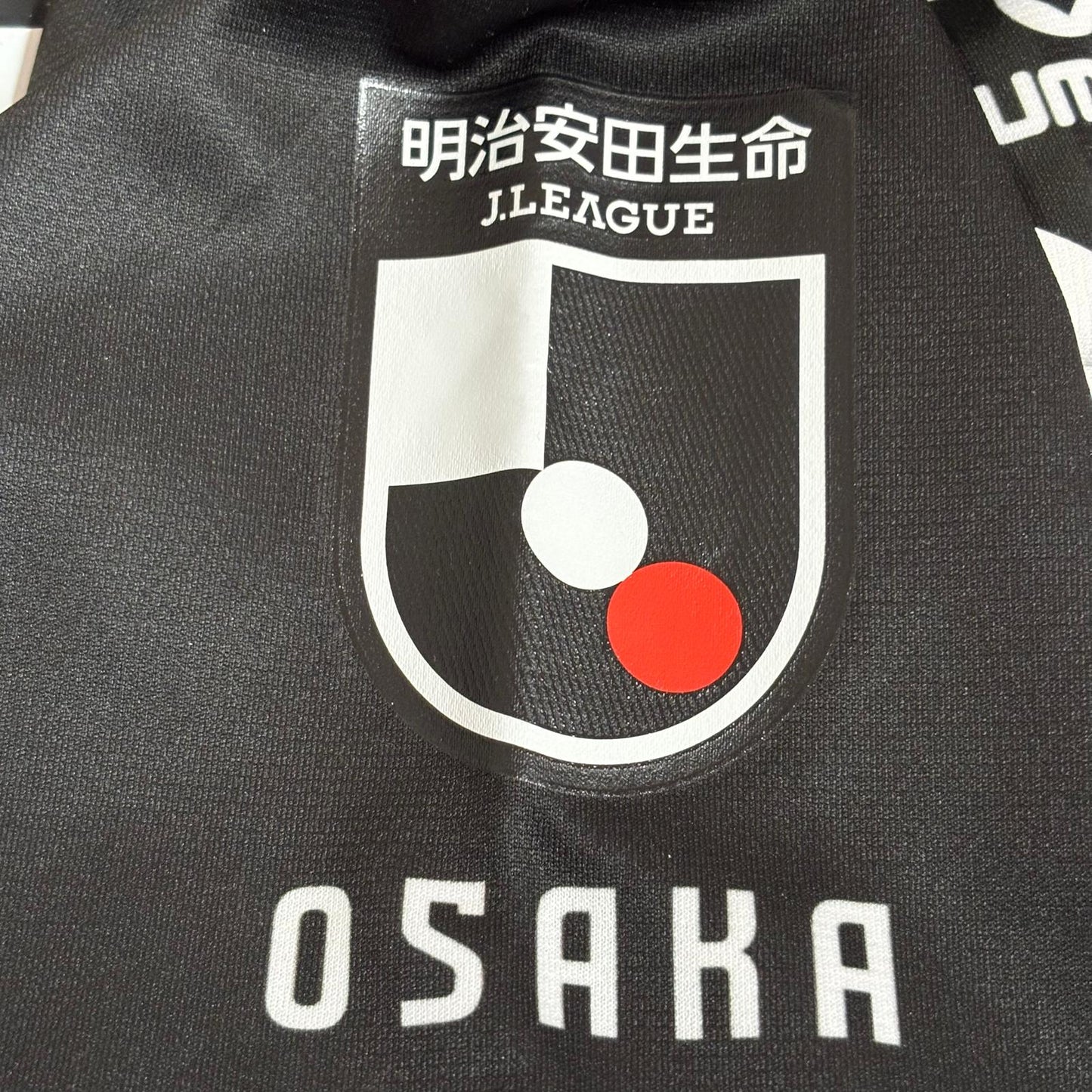 Gamba Osaka 2023 Special ML