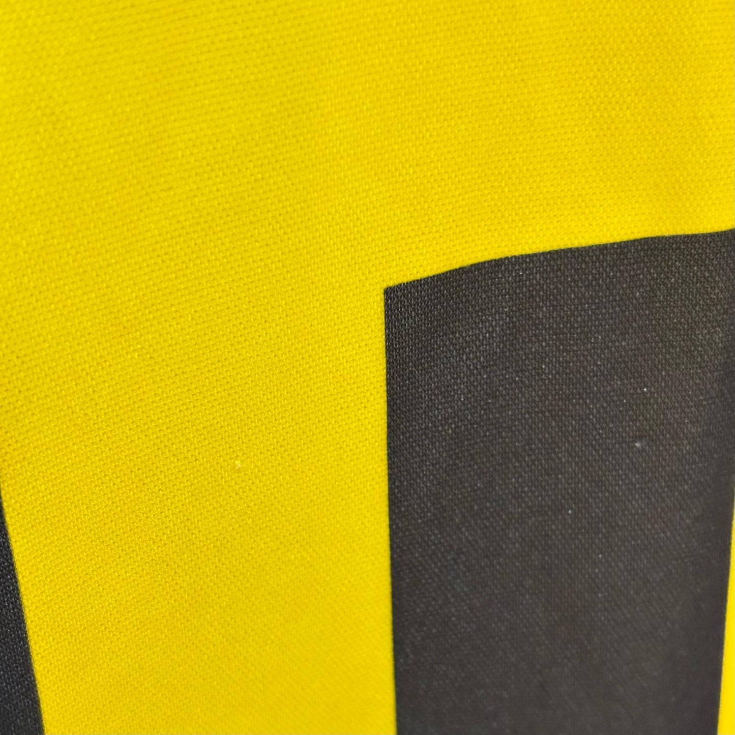 Camiseta Borussia Dortmund 2000-2001 Local