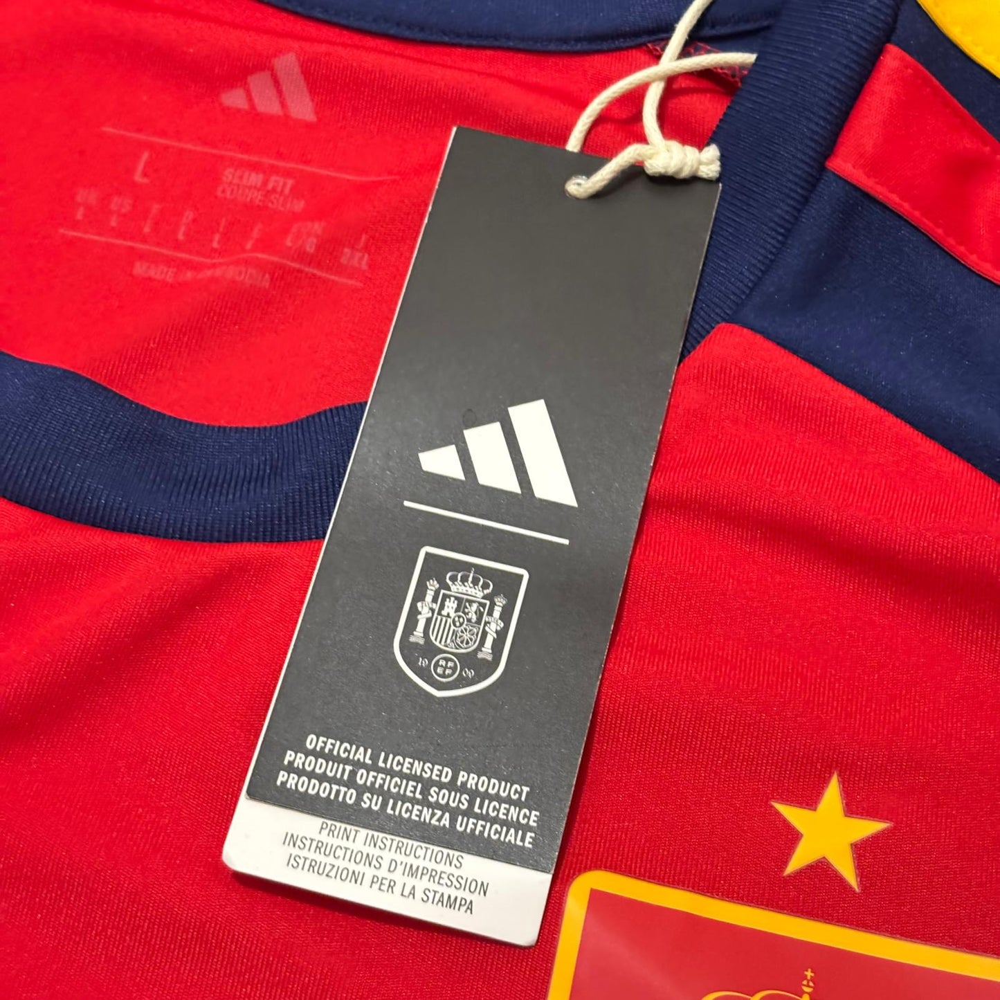España 2026 fan