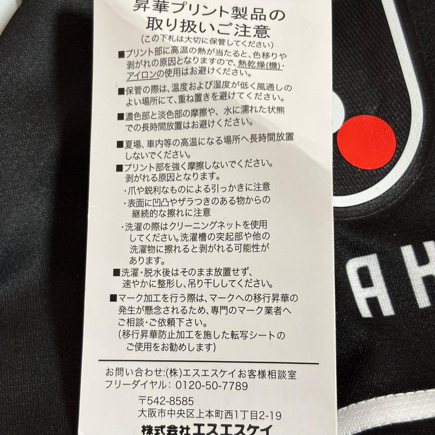 Gamba Osaka 2023 Special ML