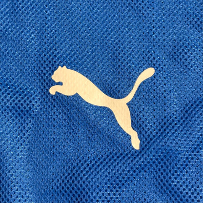 hoffenheim-home-jersey-2009-2010-player-issued-football-shirt-camiseta-futbol-puma-