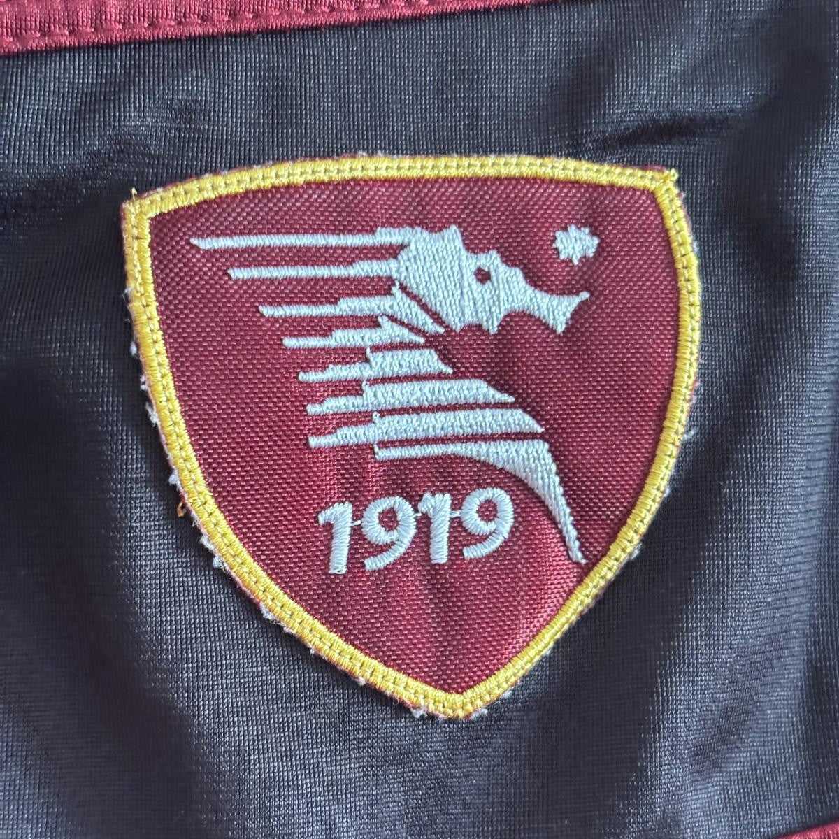 Chaqueta de fútbol Salernitana 2015-2016 Givova granate